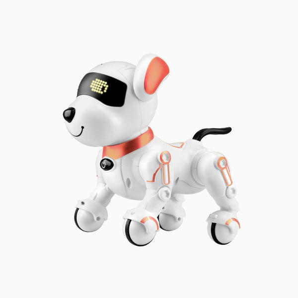 YOTOY Remote Control Robot Dog Toys for Kids